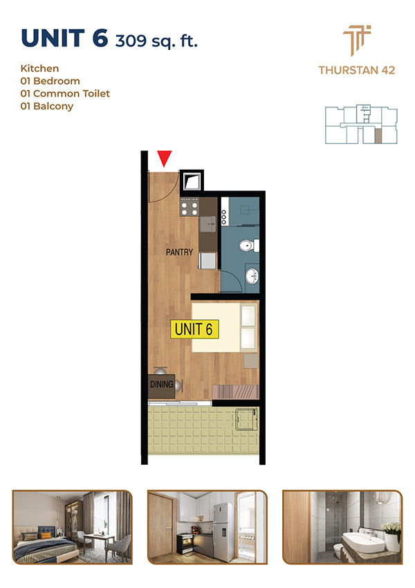 Floor Plans Thurstan 42